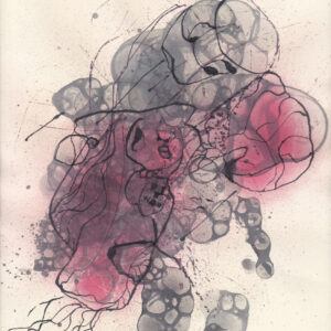 Phylum Érectus red